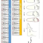 کفش ترکینگ مردانه هامتو مدل 150564A-2